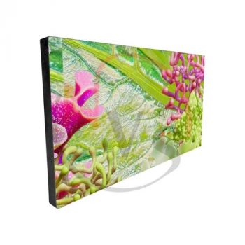 Lampro P2 Indoor LED Display Module