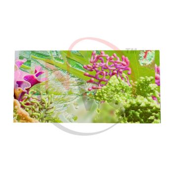 Lampro P4 Indoor LED Display Module