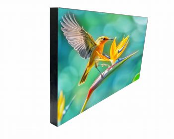 Indoor LED Display Module